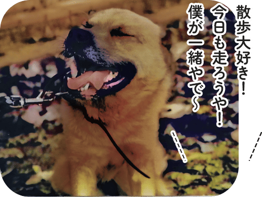 散歩大好き！今日も走ろうや！僕が一緒やで～