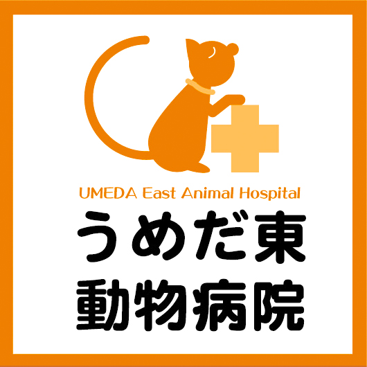 うめだ東動物病院