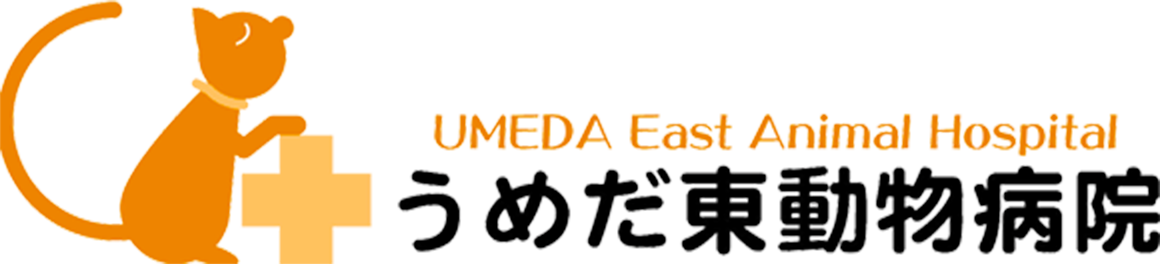 うめだ東動物病院