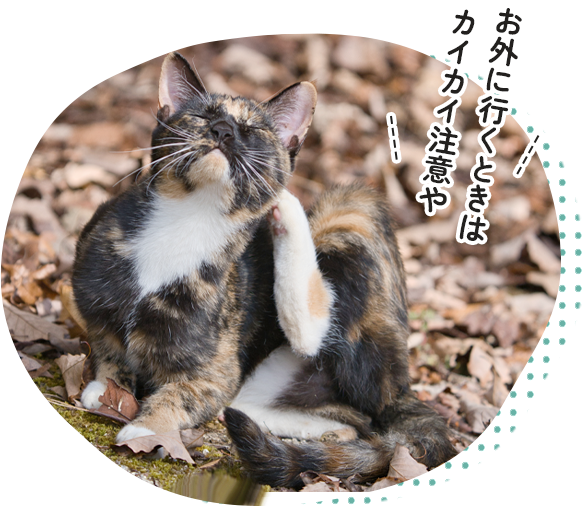 お外に行くときはカイカイ注意や