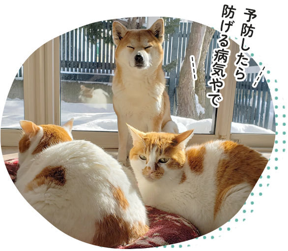 予防したら防げる病気やで