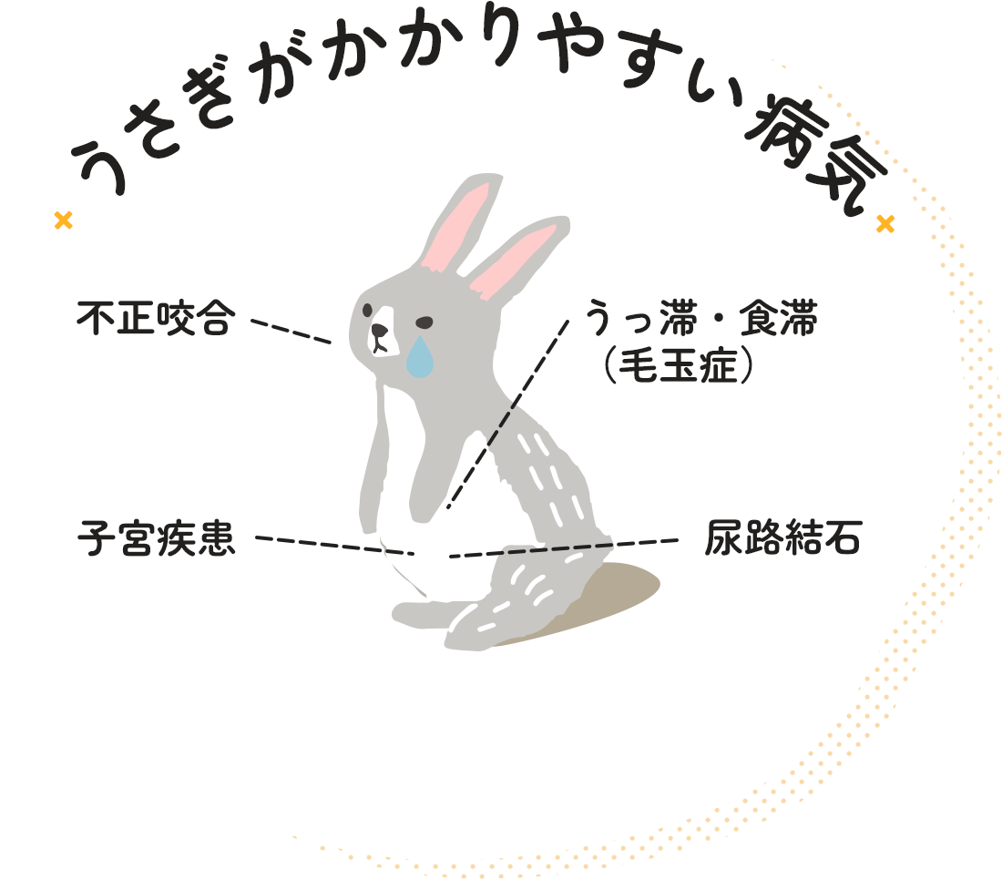 うさぎがかかりやすい病気 