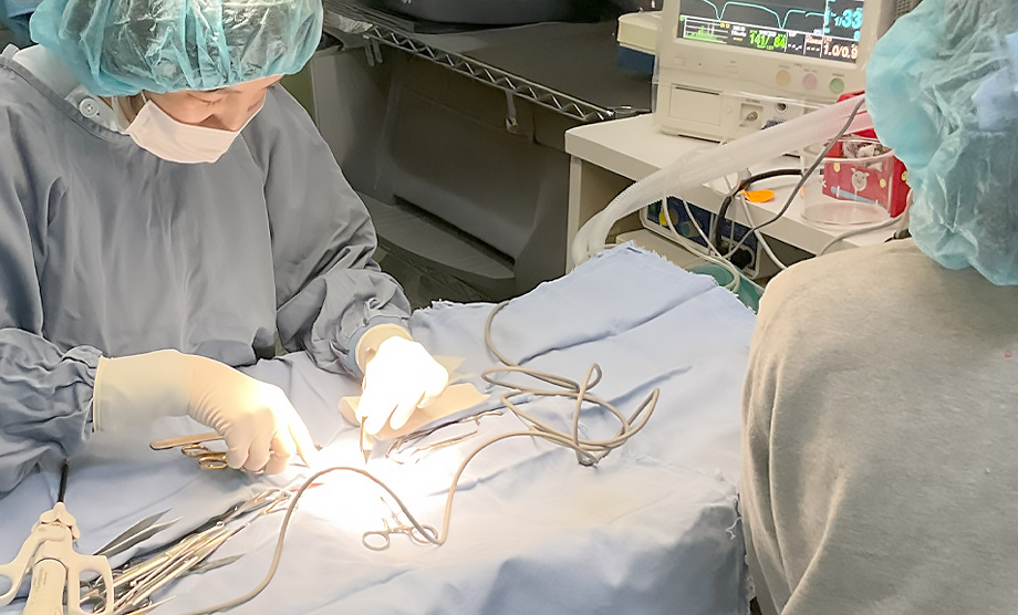 手術の様子1
