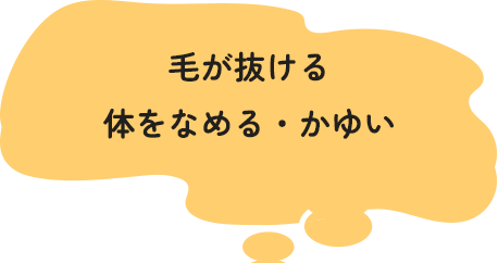 毛が抜ける・体をなめる・かゆい