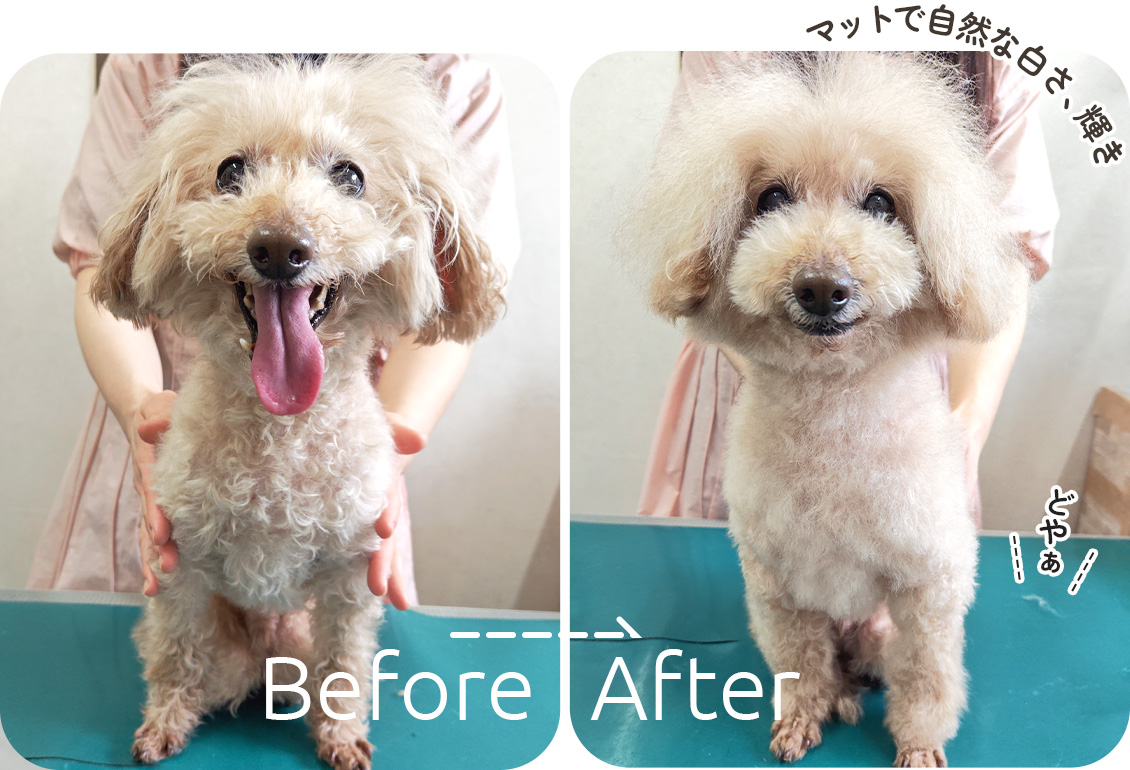 マットで自然な白さ、輝き