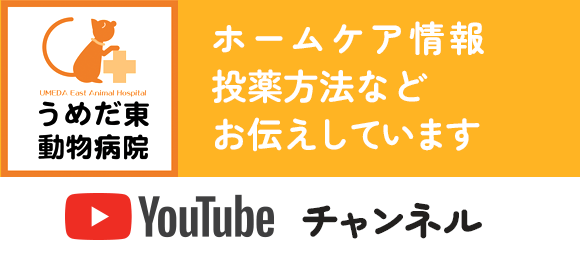 YouTubeチャンネル。ホームケア情報投薬方法などお伝えしています